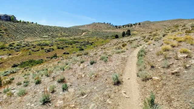 Halo Trail